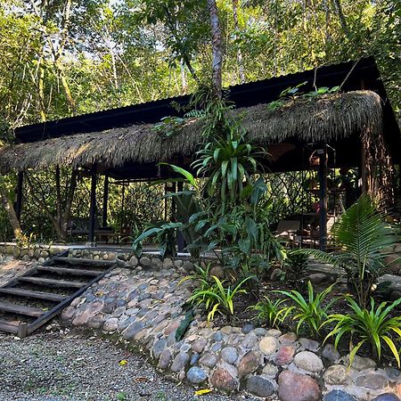 Kuyana Amazon Lodge Archidona ภายนอก รูปภาพ