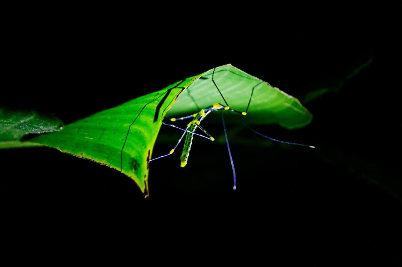 Kuyana Amazon Lodge Archidona ภายนอก รูปภาพ