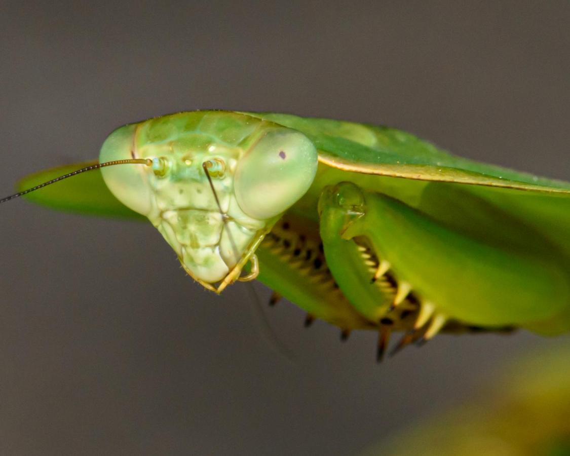Kuyana Amazon Lodge Archidona ภายนอก รูปภาพ