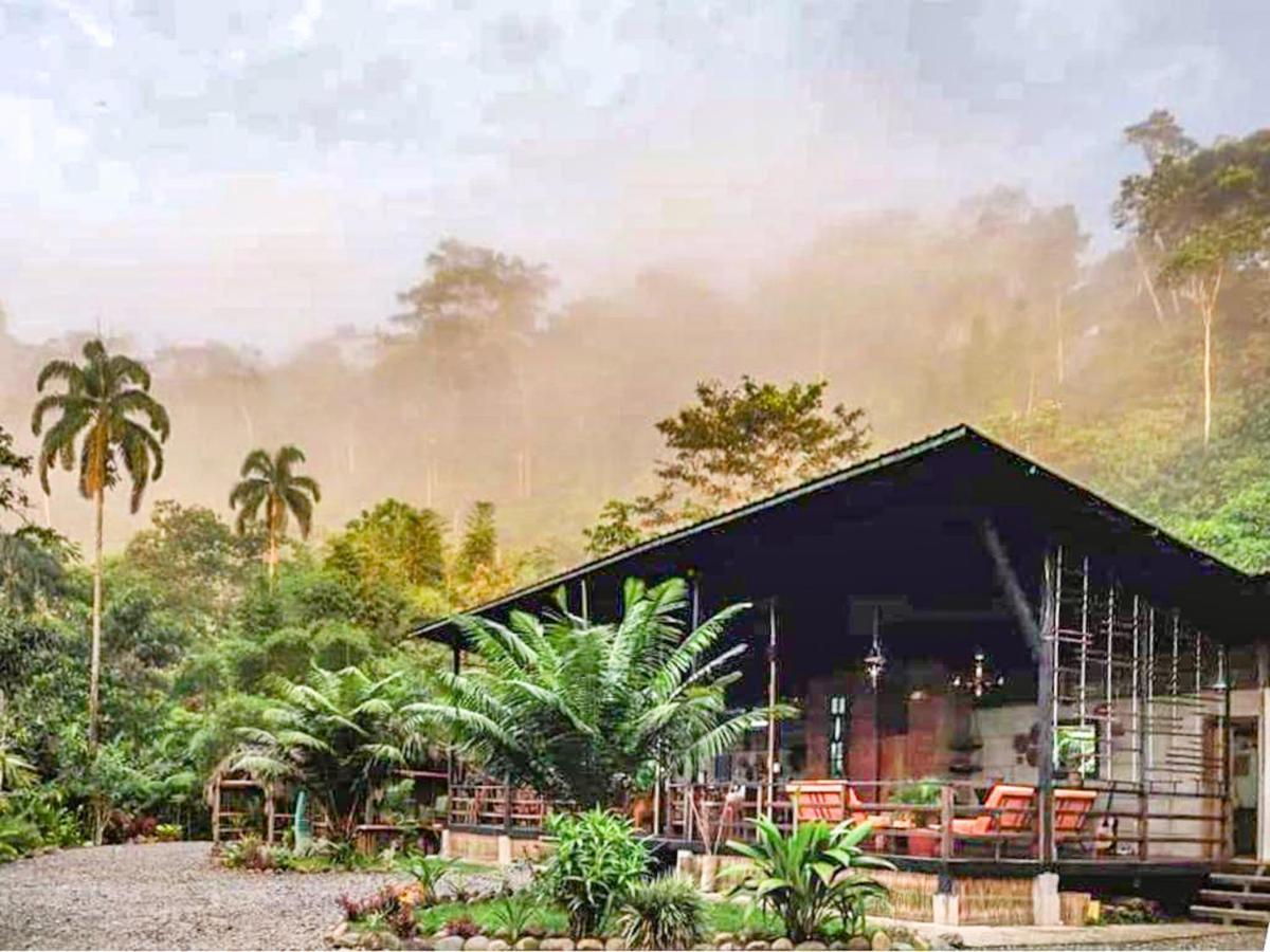 Kuyana Amazon Lodge Archidona ภายนอก รูปภาพ