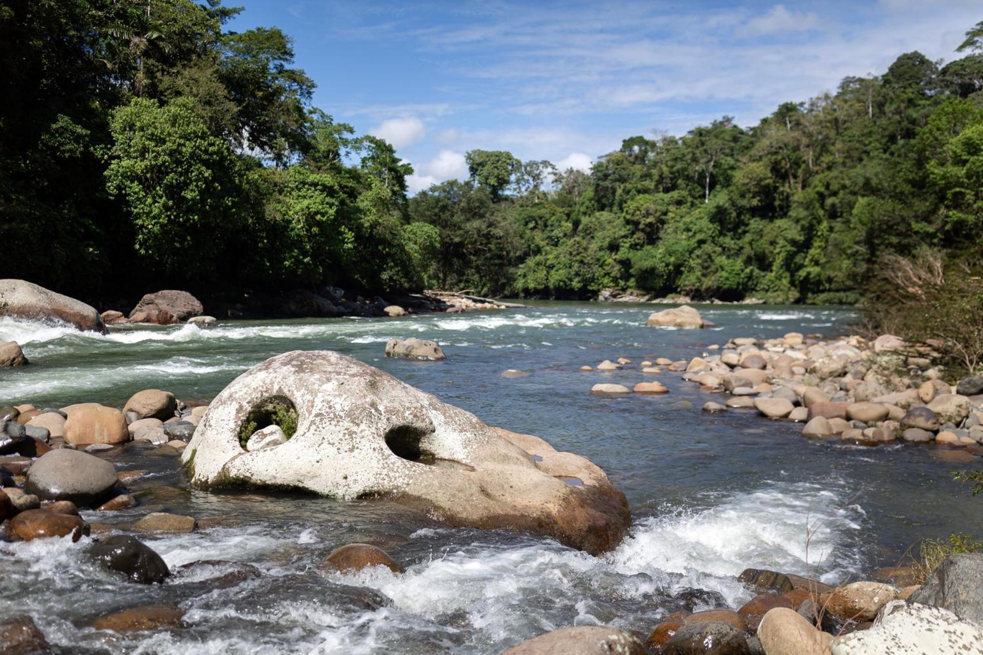 Kuyana Amazon Lodge Archidona ภายนอก รูปภาพ